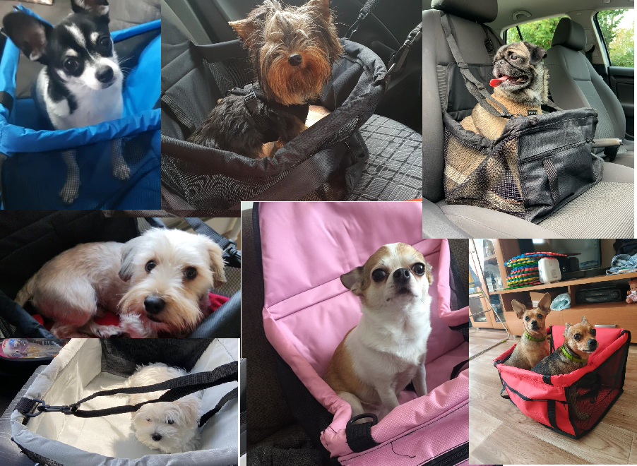 The Pet Bag™ | Huisdieren Tas